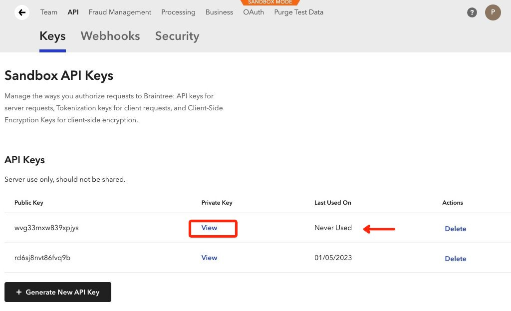 API Keys screen with the View link highlighted on the new key